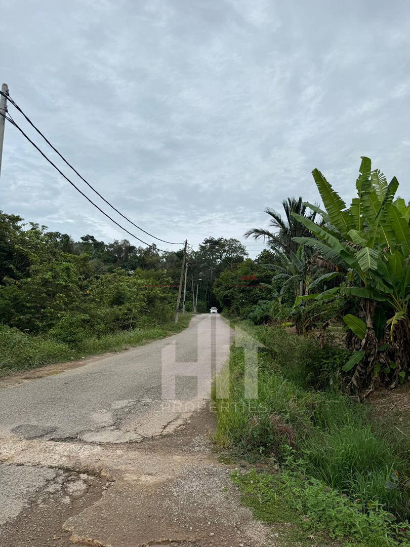 KAMPUNG SUNGAI ROTAN 📍 | TANAH PERTANIAN | BELOW MARKET VALUE RM50,000