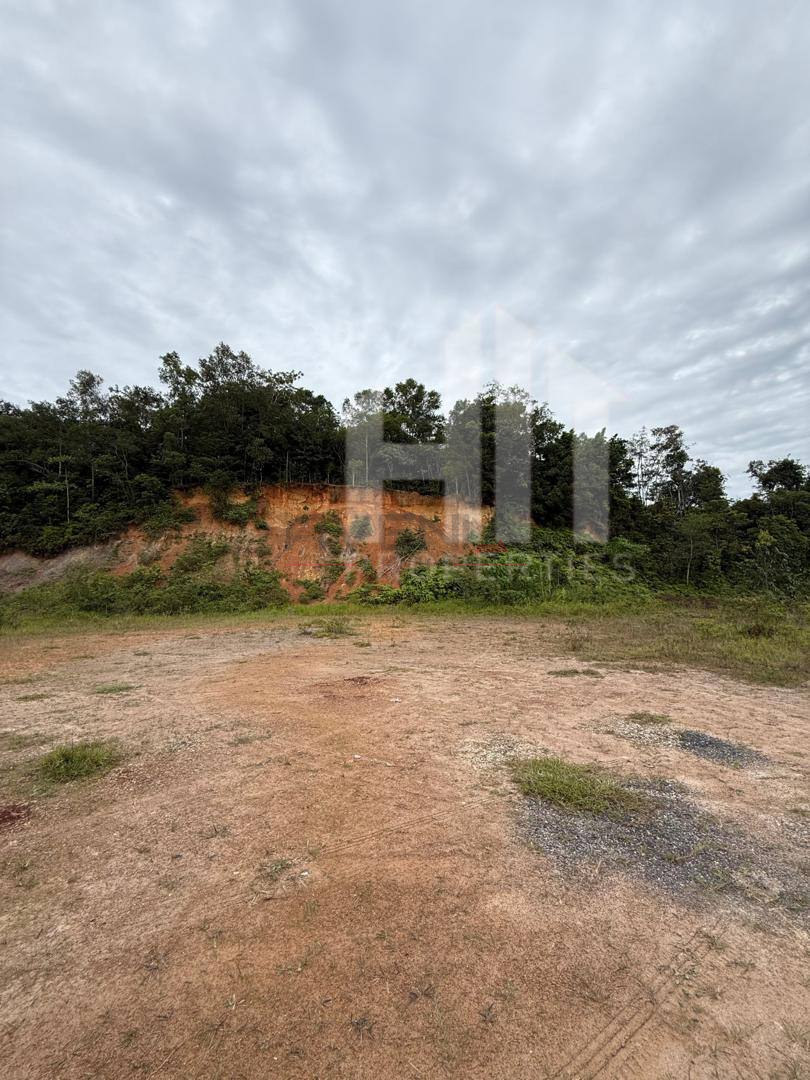 KAMPUNG SUNGAI ROTAN 📍 | TANAH PERTANIAN | BELOW MARKET VALUE RM50,000 6