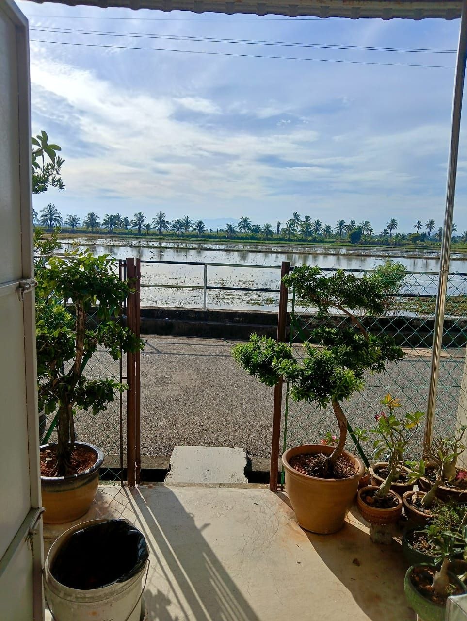 TAMAN KOTA SARANG SEMUT FASA 2 📍 | OPEN FACING | TERES SETINGKAT | CASHBACK RM32,000 | ZERO DEPOSIT | BOOKING 1K 12