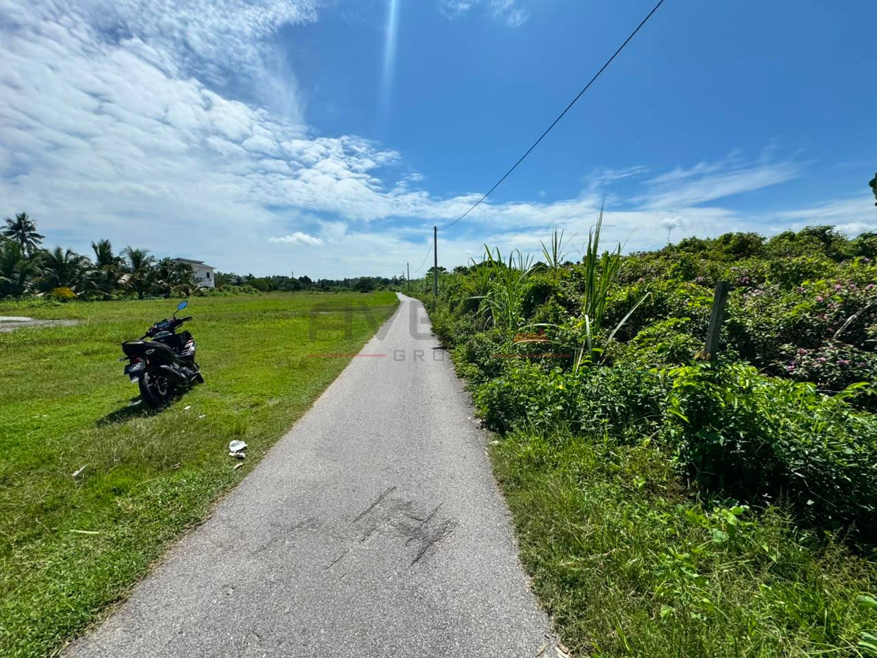 PADANG KULIM 📍 | TANAH PERTANIAN