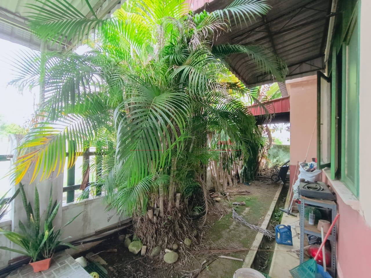 TAMAN PEGAGA 📍 | RENOVATED | BANGLO SETINGKAT | BELOW MARKET VALUE RM55,000 11