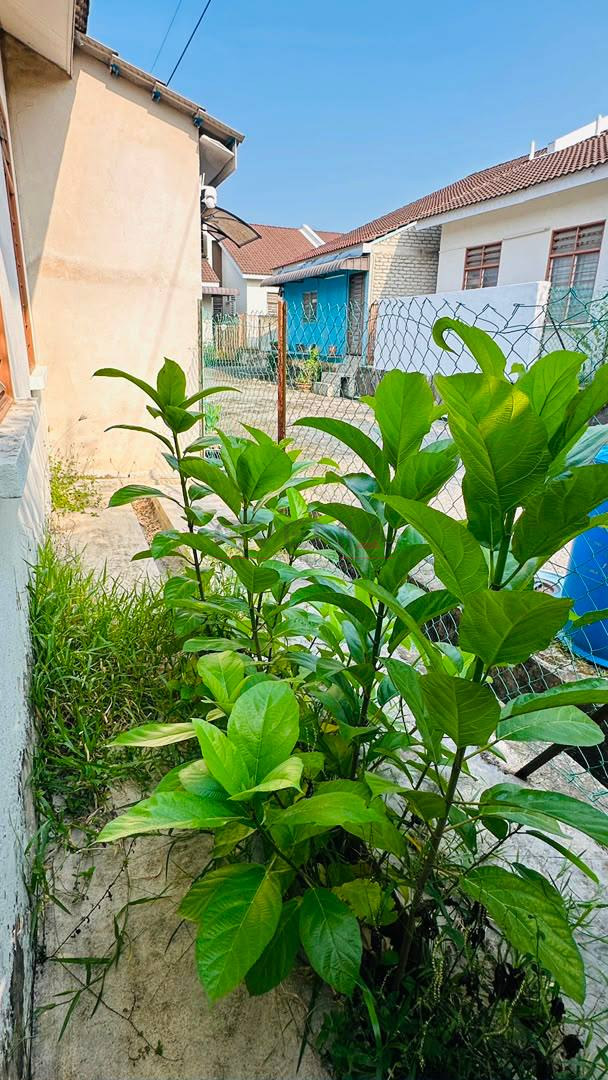 TAMAN PERMAI UTAMA 📍 | TERES SETINGKAT | CASHBACK RM20,000 | ZERO DEPOSIT | BOOKING 1K 11